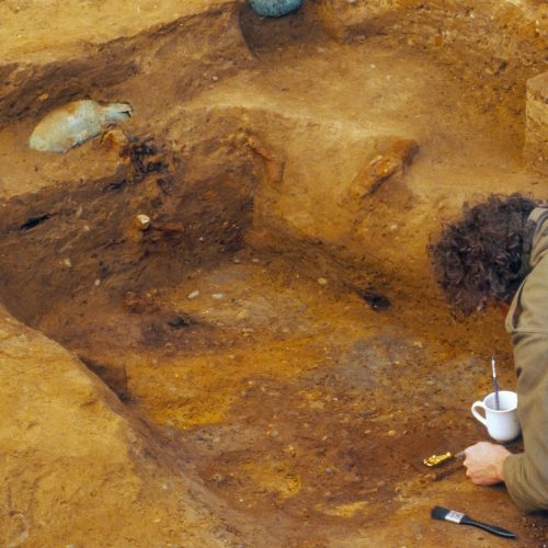 Unearthed Elegance: Anglo-Saxon Garnet Jewellery Discovered in Norfolk