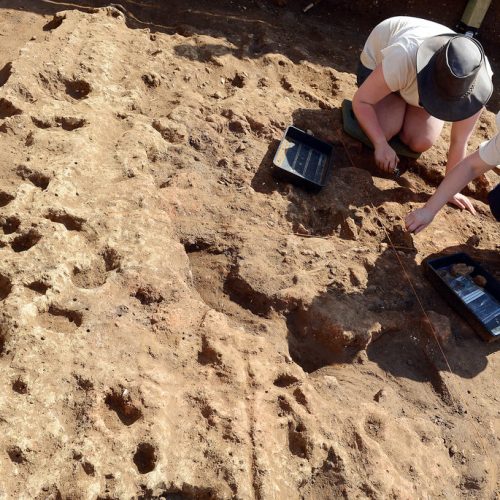 Viking Hoard in Scotland Reveals Rare Silver Arm Rings